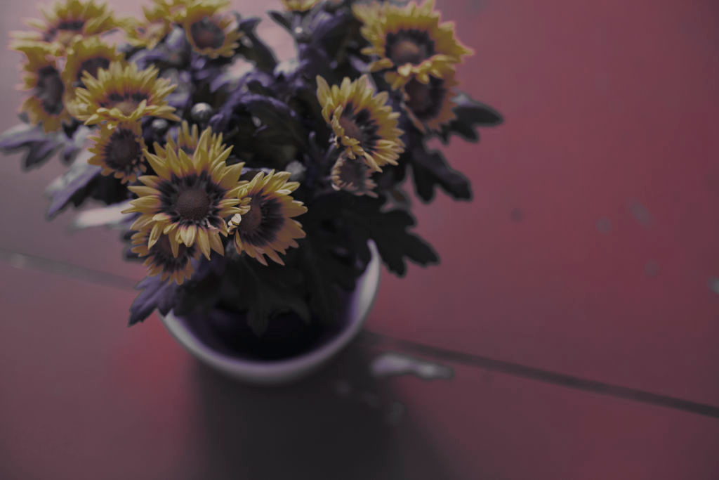 Vase of flowers on a table
